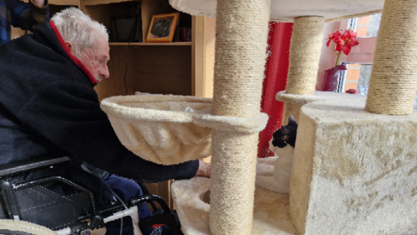 Wunschfahrt zur Verabschiedung vom Kater